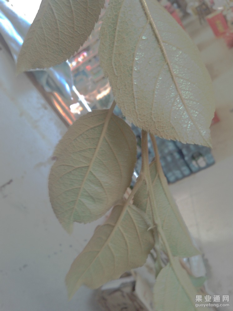 IMG_19800108_113738.jpg